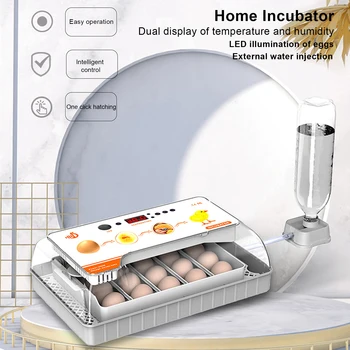 20 Kiaušinių inkubatorius Automatinis kiaušinių tekinimas Perinti Inkubatorius Temperatūros ir drėgmės signalizacija Pagrindinis ūkis Vištienos paukštis