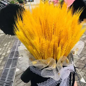 50vnt Natūralios džiovintos gėlės Kviečių ausys Miežių puokštė Dirbtinės gėlės vestuvėms Velykų dekoras 2023Mažos gėlės amatams