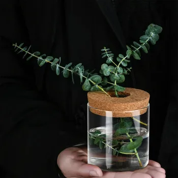 Mini hidroponinis gėlių vazonas Stiklo augalas Vaza Skaidrus terariumas Stiklas Stalviršiai Augalai Vazonai Senovinis namų svetainės dekoras