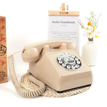 CHEETA vestuvių telefono žinutė Senovinio garso įrašymas Svečių knyga Telefonas Vintažinė svečių knyga Antikvarinis telefonas