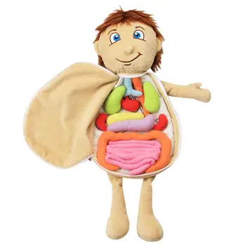 Vaikų kūno organų sąmoningumo ugdymo priemonės Gamtos mokslų mokymosi rinkiniai Žmogaus kūno anatomija Žaislas Ikimokyklinio ugdymo organas Pliušiniai žaislai