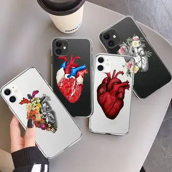 anatomija širdies gėlių raštas Telefono dėklas skaidrus iPhone 7 8 11 12 13 mini pro X XS XR MAX Plus